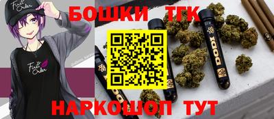 индика Кунгур