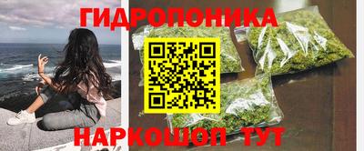 индика Кунгур