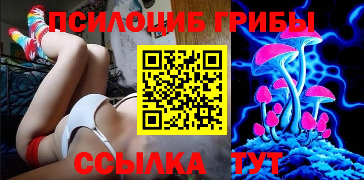 Галлюциногенные грибы MAGIC MUSHROOMS  Вход с VPN  Ессентуки  Псилоцибиновые грибы мухоморы 